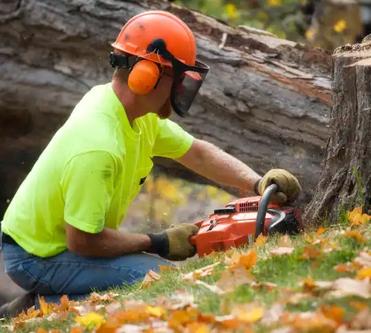 tree services Carney